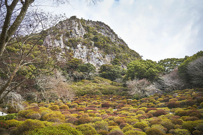 チェックアウトまでの時間は、広大なお庭を散歩。後ろにそびえる御船山の岩肌の迫力が凄まじかったです。春には一面にツツジが咲き乱れるのだそう。