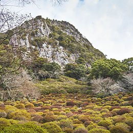 チェックアウトまでの時間は、広大なお庭を散歩。後ろにそびえる御船山の岩肌の迫力が凄まじかったです。春には一面にツツジが咲き乱れるのだそう。
