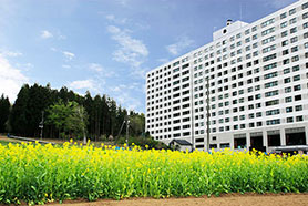 エンゼルグランディア越後中里