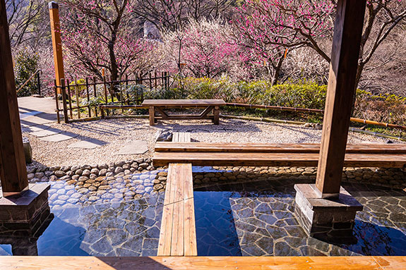 徳川家康や文豪たちが愛した歴史ある温泉