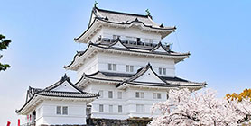 小田原(神奈川)