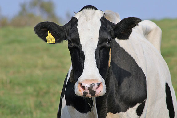 日本の食を支える十勝で「食」を学ぶ