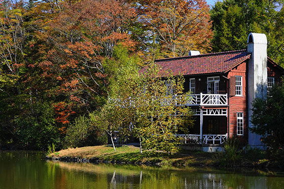 大人も子どもも遊びの選択肢が豊富