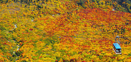 立山山麓温泉（富山）