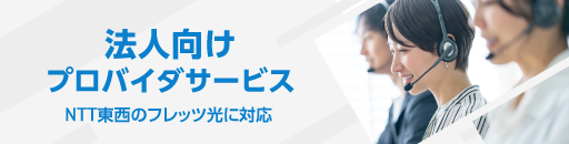 法人向けプロバイダサービス