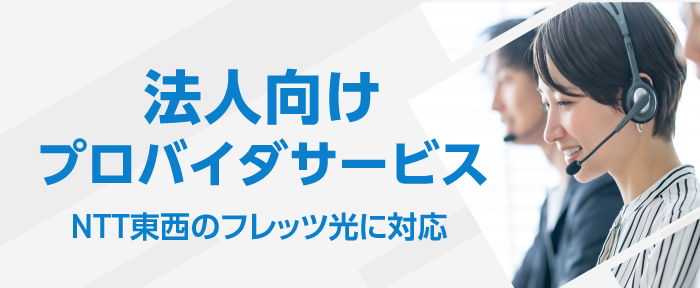 法人向けプロバイダサービス